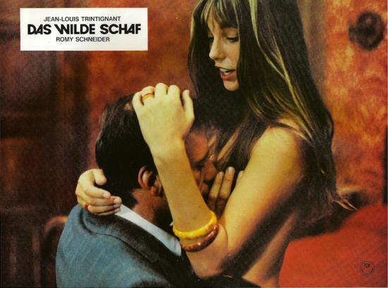 das-wilde-schaf-le-mouton-enrage-allemagne-3.jpg