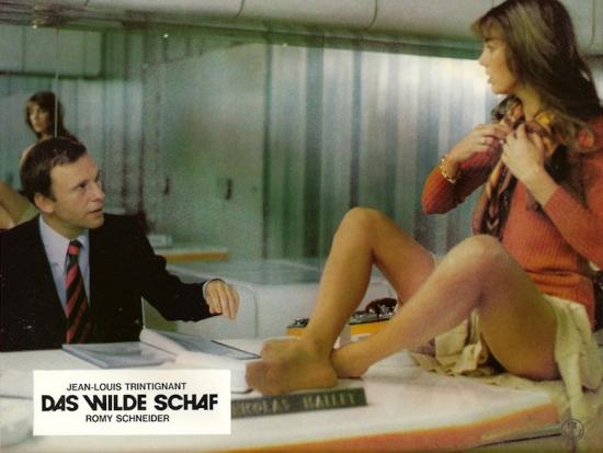 das-wilde-schaf-le-mouton-enrage-allemagne.jpg